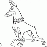 O colar elétrico no cão