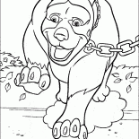Cachorro Grande