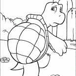 Tartaruga réptil