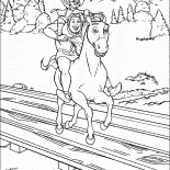 Gato e Shrek no burro