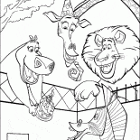 Aniversário de Marty