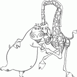 Gloria e bonito do girafa