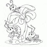 Ants