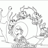 Montando o caracol