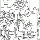 Michelangelo e motocicleta
