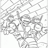 Tartarugas nos esgotos