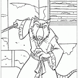 Mestre Splinter