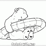 Urso polar