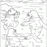Lars e selos