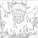 Hipopótamo assustador