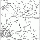 Urso Lars