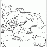 Águia e Lars