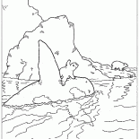 Lars e baleias assassinas