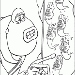 Toad e girinos