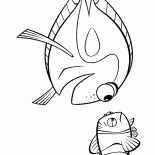 Peixes do oceano