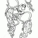 Medusa e Nemo