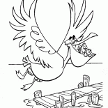 Pelicano e peixes
