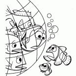Dori on-line