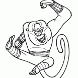 Mestre Macaco