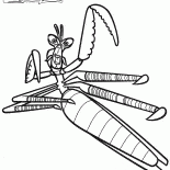 Mestre Mantis