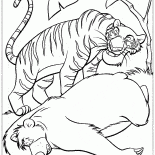 Tigre Sly e Baloo