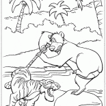 Batalha de Shere Khan e Baloo