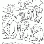 Um rebanho de elefantes