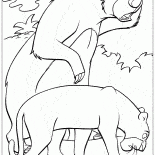 Baloo e Bagheera para encontrar