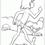 Mowgli viajar com segurança