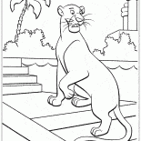 Pantera Bagheera