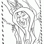 Avó Willow