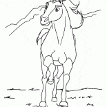 Stallion Espírito