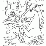 Banhando o cavalo