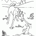 Coloring page - Banhando o cavalo