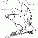 Águia e Espírito