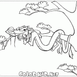 Mushu em férias