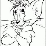 Gato e rato