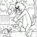 Sparring Tom e Jerry