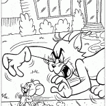 Tom pega Jerry