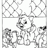 Gatinho em apuros
