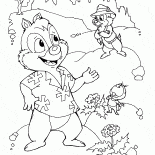Chip e Dale na floresta