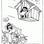 Voando casinha de cachorro