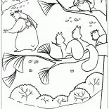 Esquilos e urso