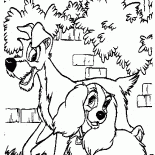 A Dama eo Vagabundo dar um passeio