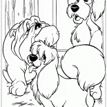 Tramp e os seus amigos