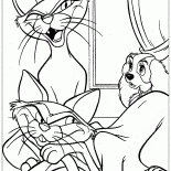 Gatos em casa Senhora