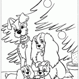 Cachorros e cães