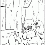 Cães vadios
