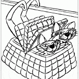 Gatos na cesta
