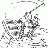 Condutor Sebastian